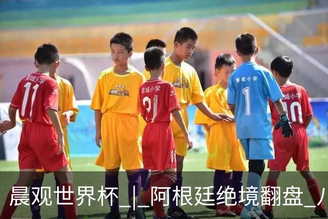晨观世界杯 | 阿根廷绝境翻盘 八强全部产生